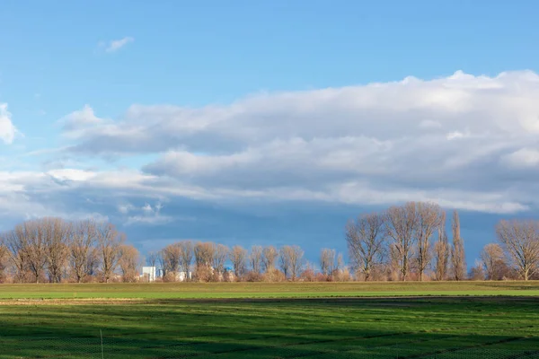 Campos Vacíos Invierno Campo Naturaleza Frankenthal Alemania — Foto de Stock