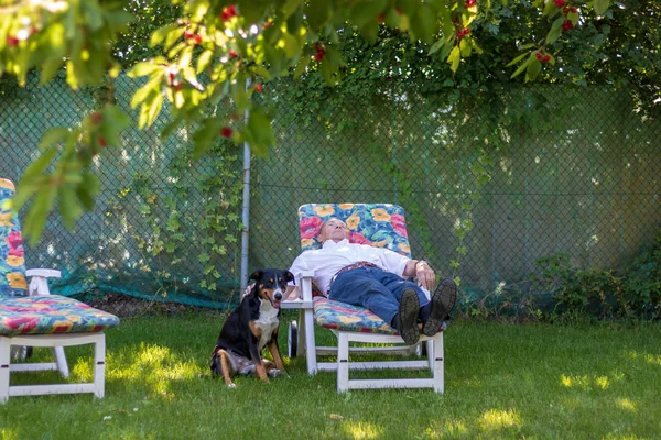 Senior Mannen Avkopplande Hennes Trädgård Med Hund Appenzeller Sennenhund — Stockfoto