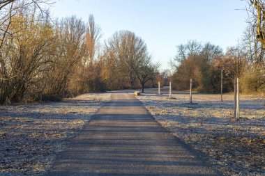 Frankenthal sabah parkta güzel bahar manzara 