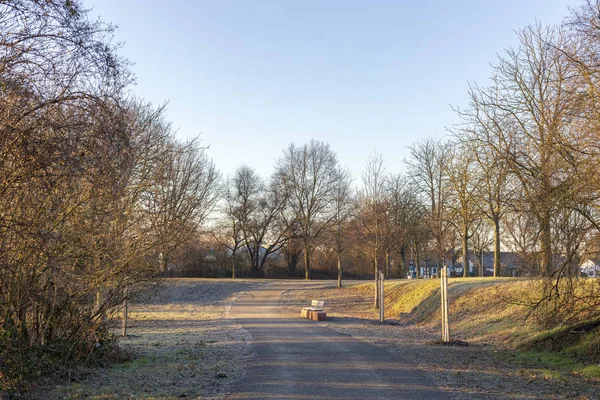 Όμορφο Ανοιξιάτικο Τοπίο Στο Πάρκο Πρωί Frankenthal — Φωτογραφία Αρχείου