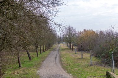 Bahar Parkı, Frankenthal - Almanya sokakta ağaç