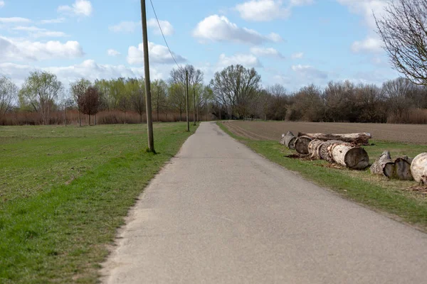 Green Park στη Γερμανία Frankenthal με το μπλε του ουρανού — Φωτογραφία Αρχείου