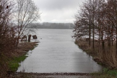 Frankenthal Almanya, Ren üzerinde sel