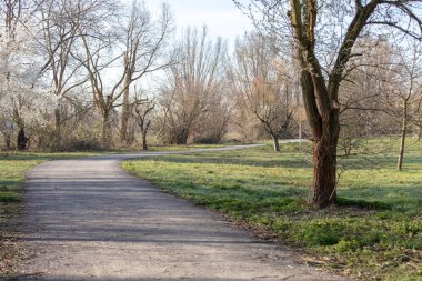 Frankenthal sabah parkta güzel bahar manzara 