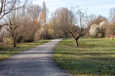 Frankenthal sabah parkta güzel bahar manzara 