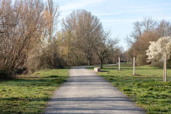 Όμορφο Ανοιξιάτικο τοπίο στο πάρκο το πρωί Frankenthal — Φωτογραφία Αρχείου