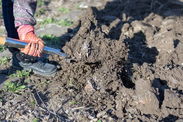 Bahçe Bahçe bir kürek ile kazma tarafından toprak hazırlama