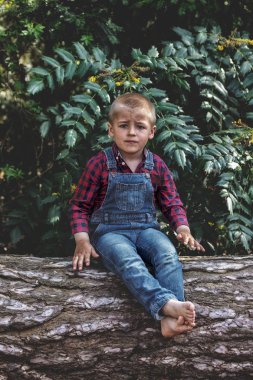 küçük çocuk yaşlı ağaç gövdesi parkta oturan