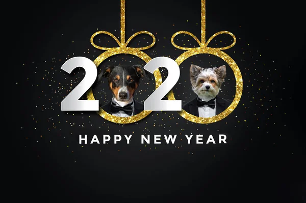 Mutlu yeni yıl 2020 ile iki Dogs — Stok fotoğraf