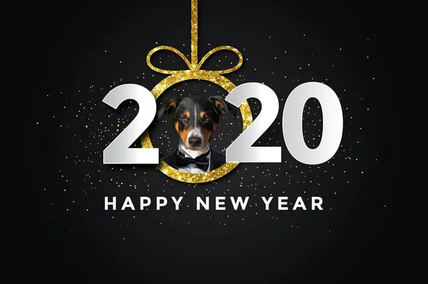 犬との幸せな新年2020、Appenzeller Sennenhund — ストック写真