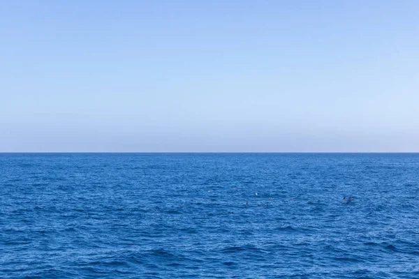 Paisaje marino con horizonte marino y cielo azul profundo casi claro — Foto de Stock