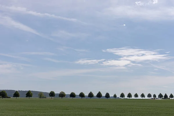 Paisaje rural alemán: serie de árboles con colinas como parte posterior — Foto de Stock