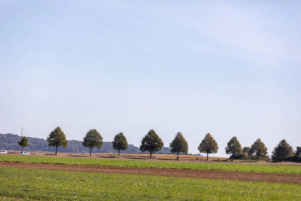 Німецька сільській місцевості: серія дерев з горбами як задній — стокове фото