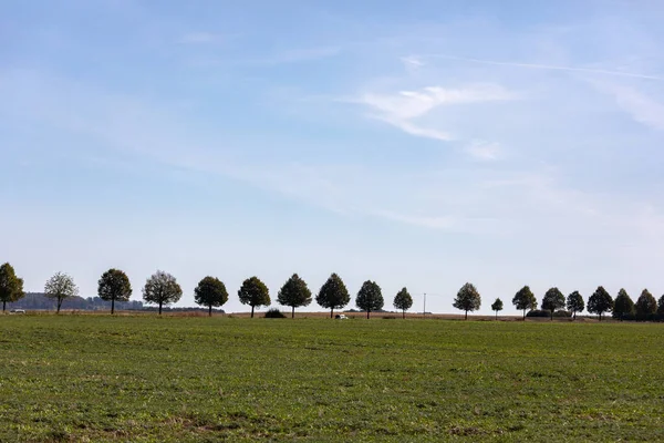 Paisaje rural alemán: serie de árboles con colinas como parte posterior — Foto de Stock