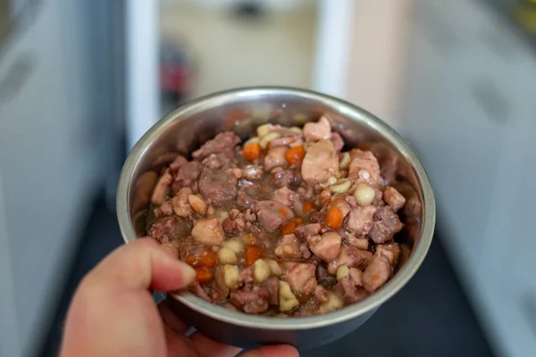 wet food for dogs and cats in silver bowl