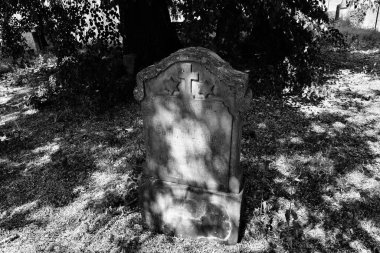 19. yüzyıldan kalma terk edilmiş eski bir mezarlık. Poszczykowiec, Polonya.