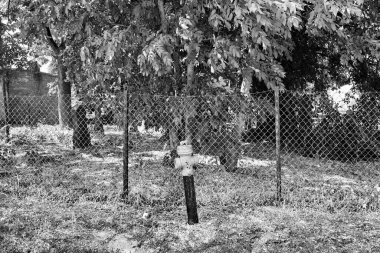 19. yüzyıldan kalma terk edilmiş eski bir mezarlık. Poszczykowiec, Polonya.