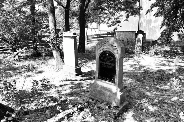 Antiguo Cementerio Abandonado Del Siglo Xix Poszczykowiec Polonia —  Fotos de Stock