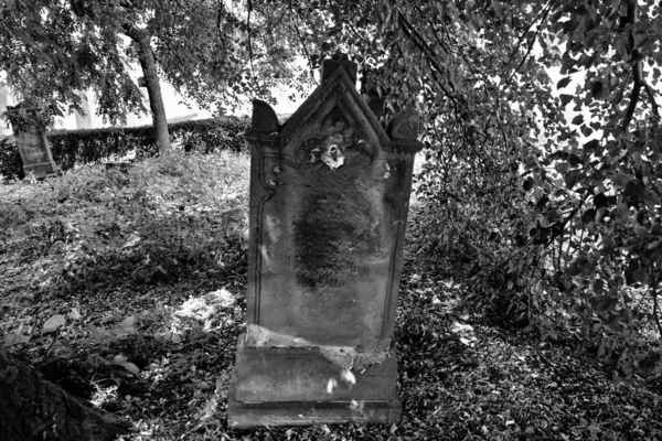 Antiguo Cementerio Abandonado Del Siglo Xix Poszczykowiec Polonia —  Fotos de Stock