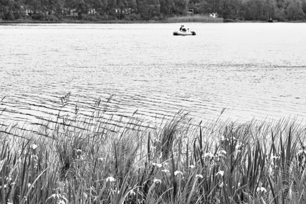 美しさの風景湖 黒と白の芸術的な外観 — ストック写真