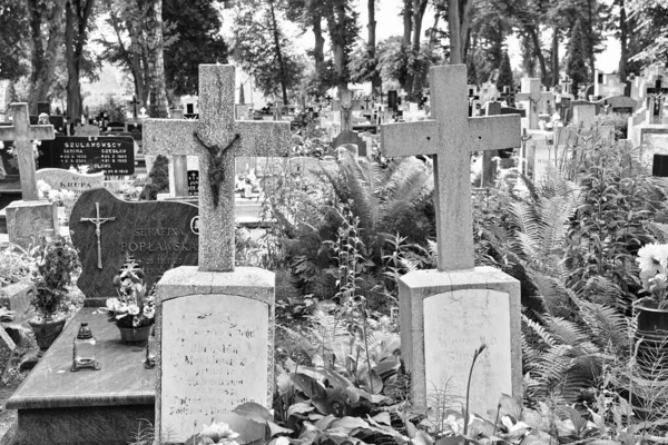 Městský Hřbitov Ornetě Warmia Historická Země Teple Masurské Vojvodství — Stock fotografie