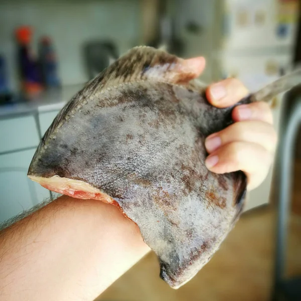 ポーランド料理では おいしいヒラメの魚を準備します — ストック写真