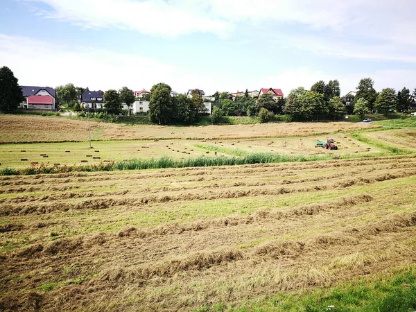 Paysage Agricole Forêt Village — Photo