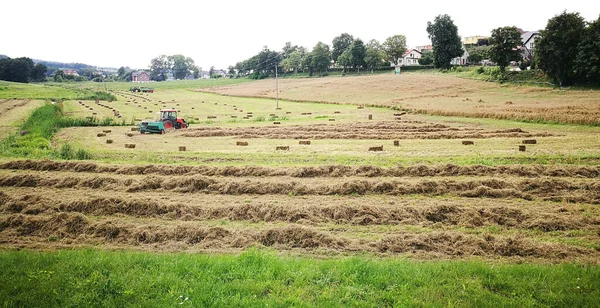 Paysage Agricole Forêt Village — Photo