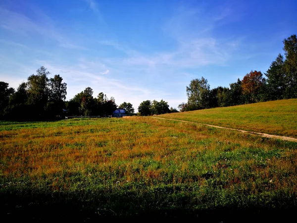 Paesaggio Del Villaggio Look Artistico Colori Vivaci Vintage Polacco Legno — Foto Stock