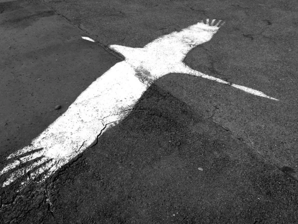 Pájaro Aspecto Artístico Blanco Negro — Foto de Stock