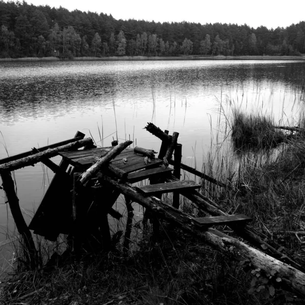 Tuchola Pinewoods Umělecký Pohled Černobílém Životní Prostředí Kociewie — Stock fotografie