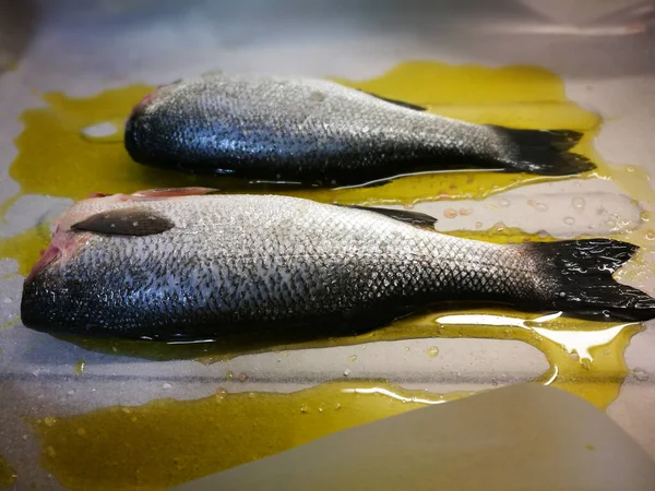 Polish Traditional Cuisine Prepare Tasty European Seabass Fish Dill Parsley — Stock Photo, Image