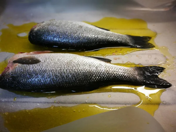 Polish Traditional Cuisine Prepare Tasty European Seabass Fish Dill Parsley — Stock Photo, Image