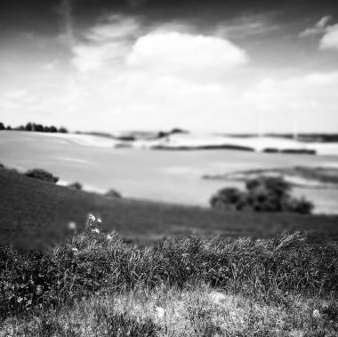 Yel değirmenleri. Siyah beyaz sanatsal görünüş.