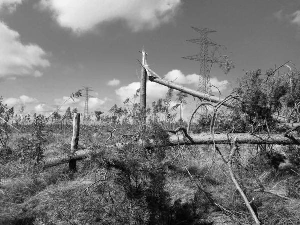 Viento Desastre Kaschubia Norte Polonia — Foto de Stock