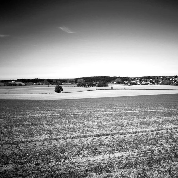 Agrarlandschaft Künstlerischer Look Schwarz Weiß — Stockfoto