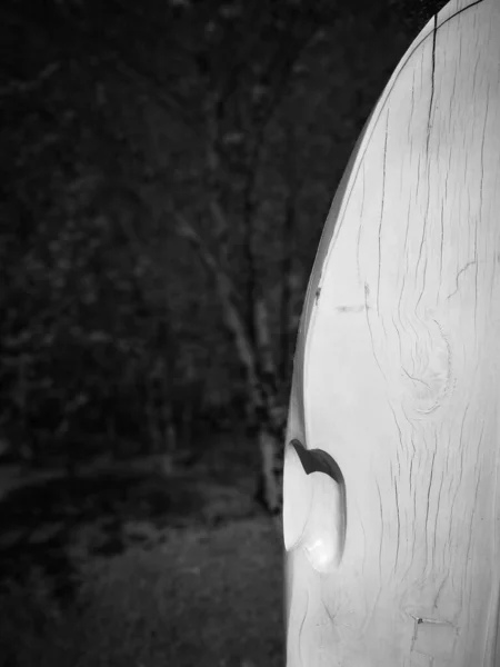 Bosque Aspecto Artístico Blanco Negro —  Fotos de Stock