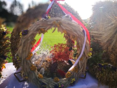 Hasat festivali. Canlı renklerde sanatsal görünüş.