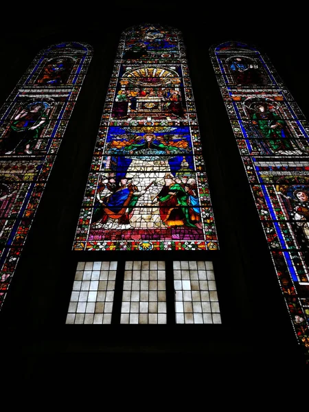 Güzellik Mimarisi Renkli Sanatsal Görünüş Santa Maria Novella Bazilikası Floransa — Stok fotoğraf