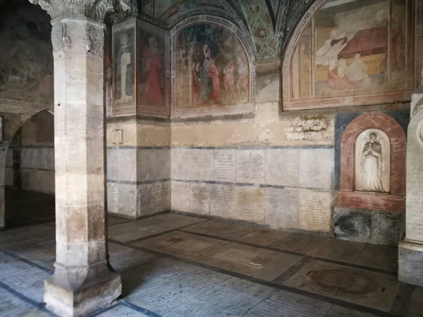 Skönhetsarkitektur Konstnärlig Look Färger Basilikan Santa Maria Novella Florens Och — Stockfoto