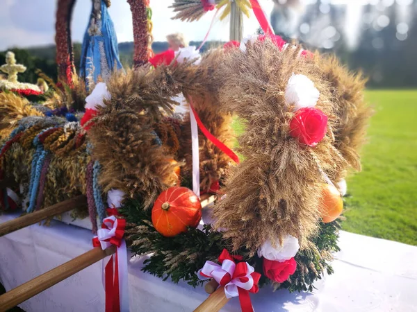 Oogstfeest Artistieke Uitstraling Levendige Kleuren — Stockfoto