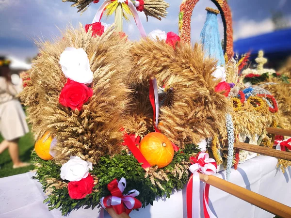 Erntefest Künstlerischer Blick Lebendigen Farben — Stockfoto