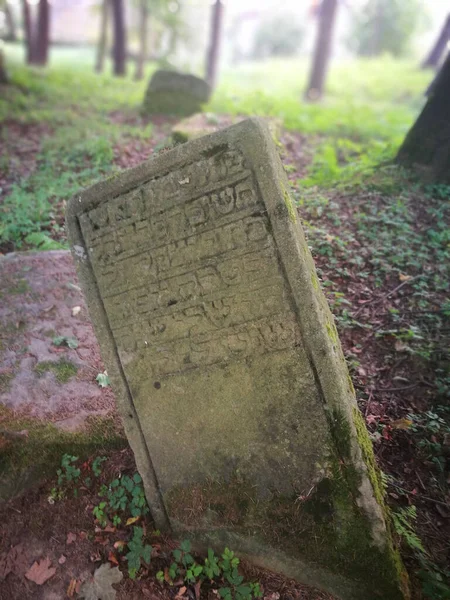 Kirkut Abandoned Jewish Cemetery Lesko Poland — Stock Photo, Image