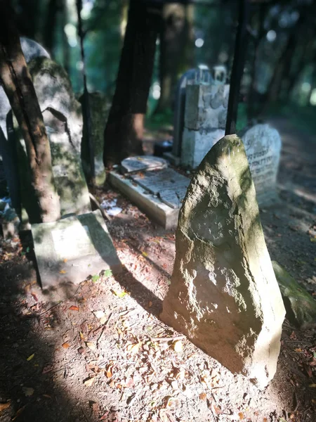 Kirkut Opuštěný Židovský Hřbitov Lesku Polsko — Stock fotografie