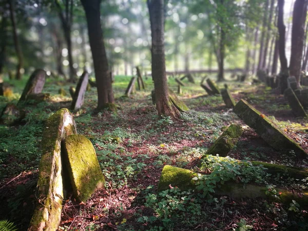 Kirkut Övergiven Judisk Kyrkogård Lesko Polen — Stockfoto