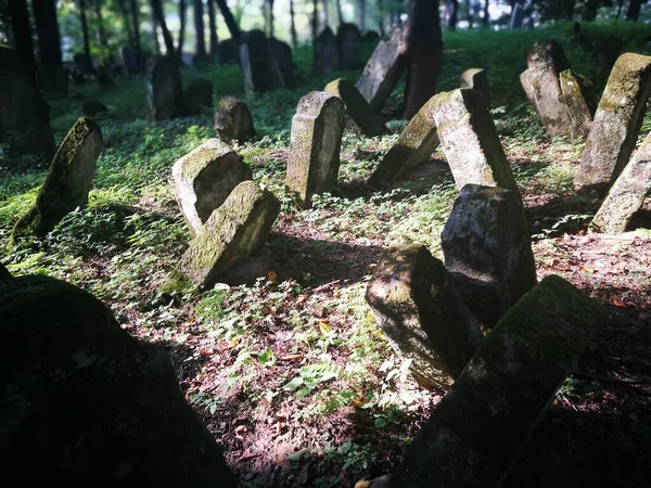 Kirkut Cementerio Judío Abandonado Lesko Polonia — Foto de Stock