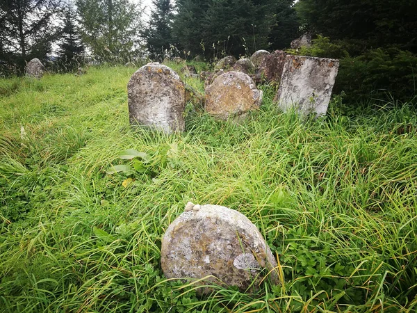 Kirkut Övergiven Judisk Kyrkogård Lesko Polen — Stockfoto