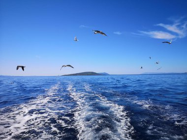 Dalmaçya Bölgesi, Adriyatik deniz manzarası. Hırvatistan ve Avrupa.