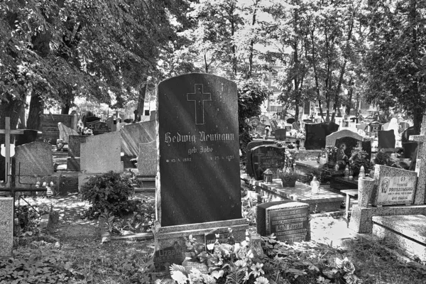 묘지를 방문하는 자두가 폴란드의 그단스크 — 스톡 사진