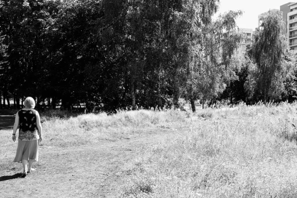 Şehir Merkezinde Bir Çayır Siyah Beyaz Sanatsal Görünüş — Stok fotoğraf